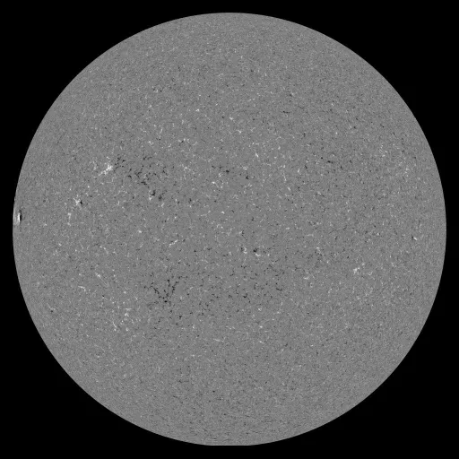 Solar Magnetic Fields