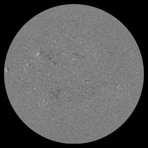 Solar Magnetic Fields