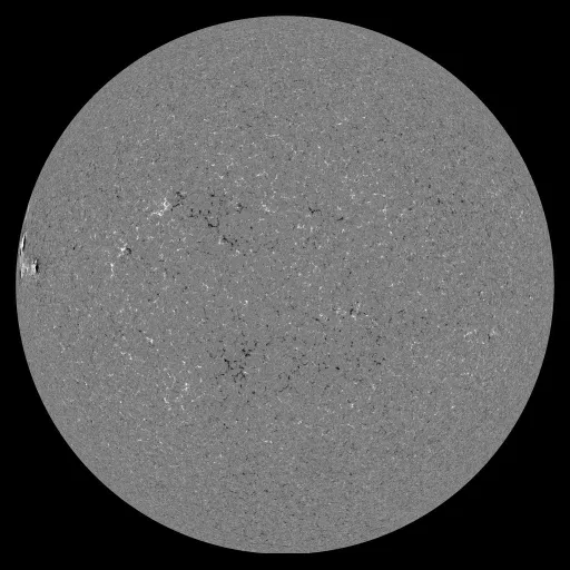 Solar Magnetic Fields