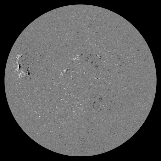 Solar Magnetic Fields