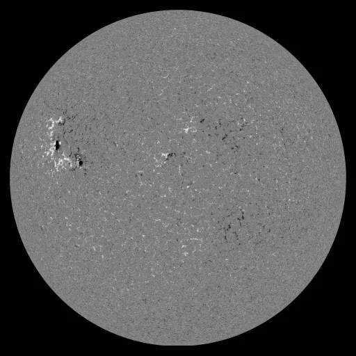 Solar Magnetic Fields