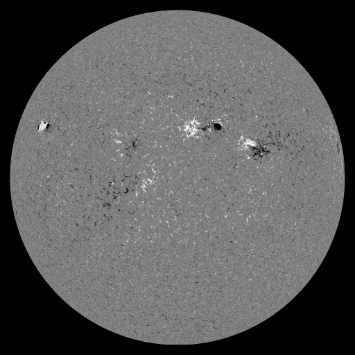 Solar Magnetic Fields