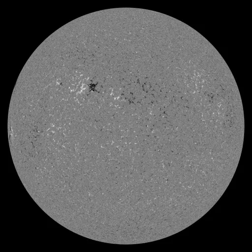 Solar Magnetic Fields