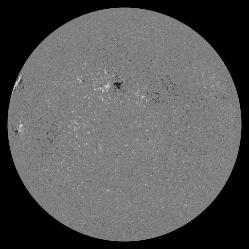Solar Magnetic Fields