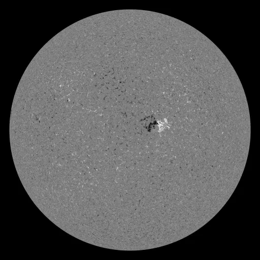 Solar Magnetic Fields