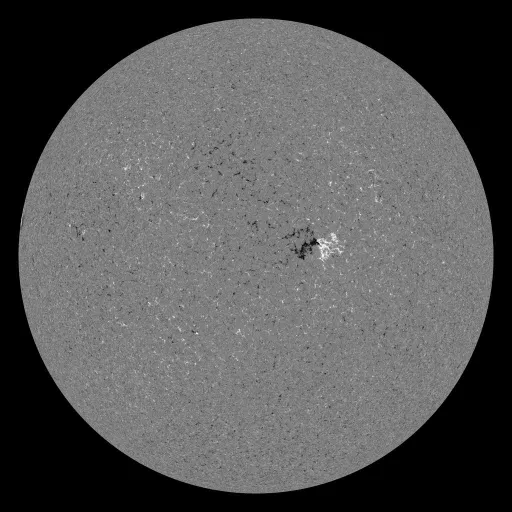 Solar Magnetic Fields
