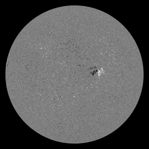 Solar Magnetic Fields