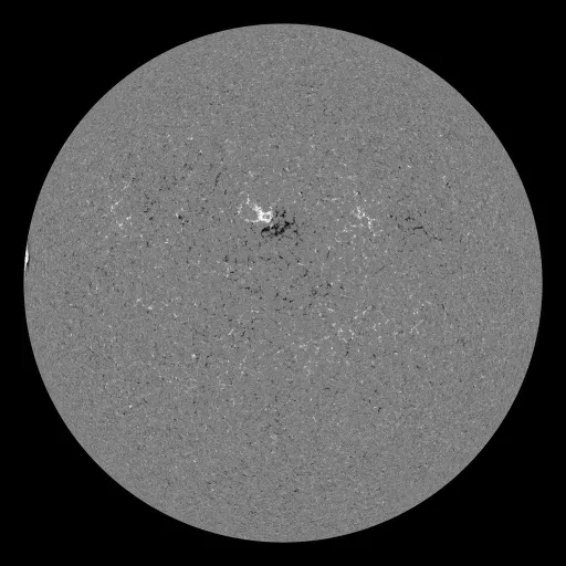 Solar Magnetic Fields