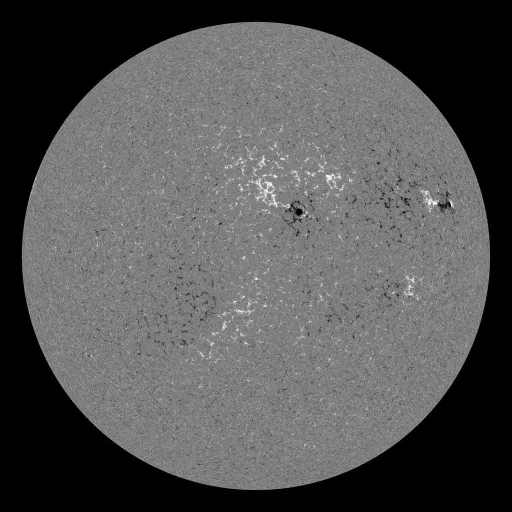Solar Magnetic Fields