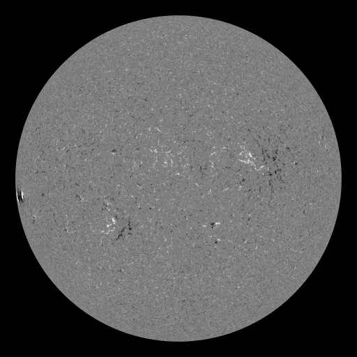 Solar Magnetic Fields