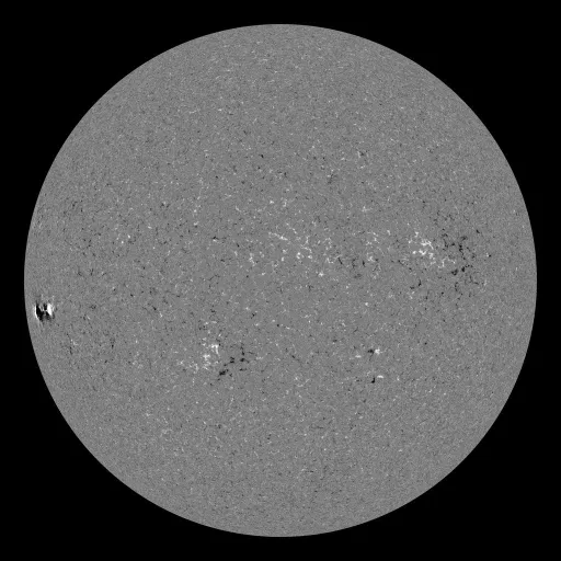 Solar Magnetic Fields