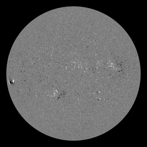 Solar Magnetic Fields