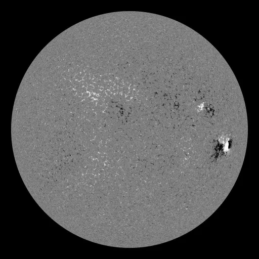 Solar Magnetic Fields