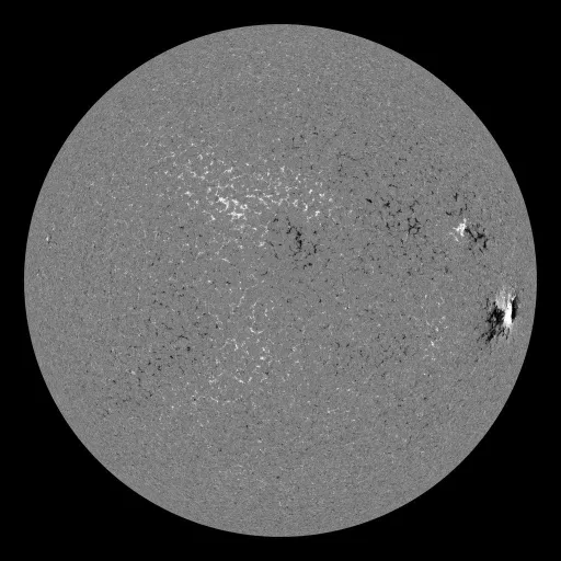 Solar Magnetic Fields