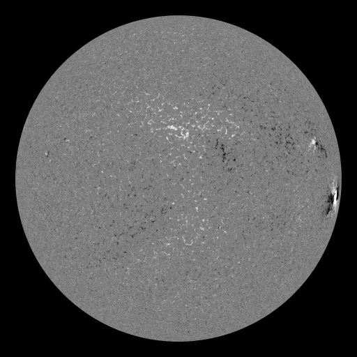 Solar Magnetic Fields