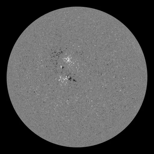 Solar Magnetic Fields