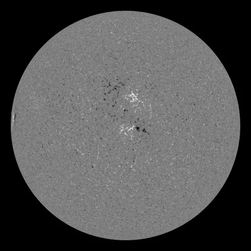 Solar Magnetic Fields
