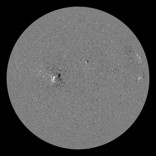 Solar Magnetic Fields
