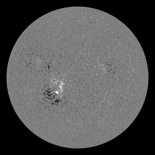 Solar Magnetic Fields