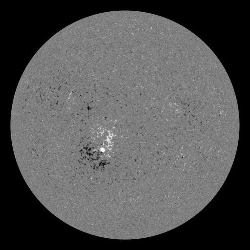 Solar Magnetic Fields