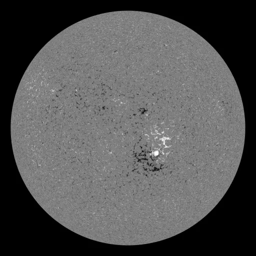 Solar Magnetic Fields