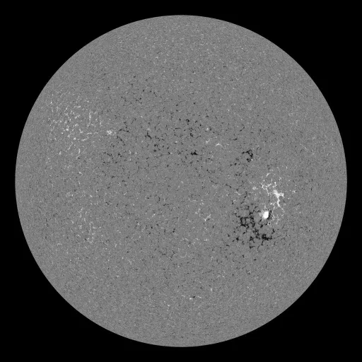 Solar Magnetic Fields