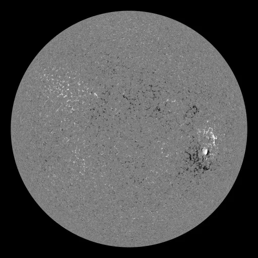 Solar Magnetic Fields
