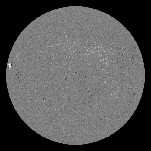 Solar Magnetic Fields