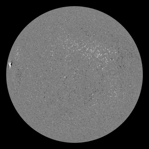 Solar Magnetic Fields