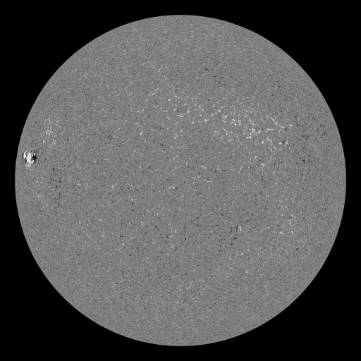 Solar Magnetic Fields