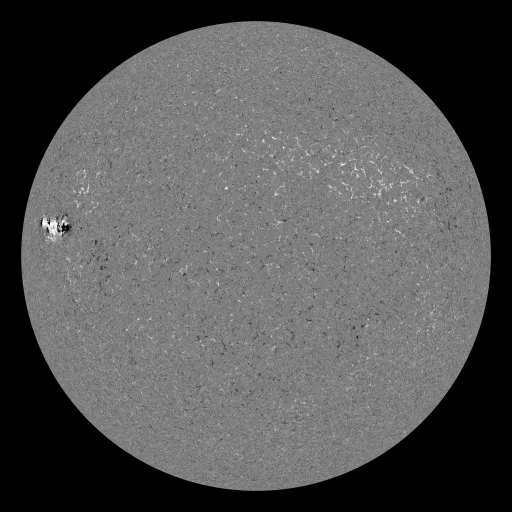 Solar Magnetic Fields