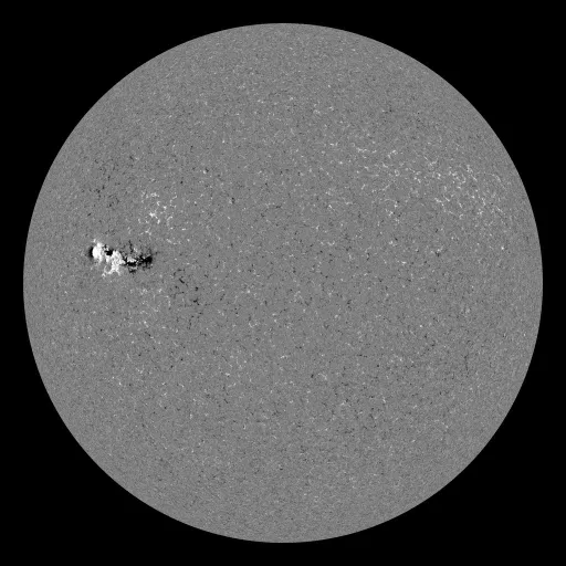 Solar Magnetic Fields