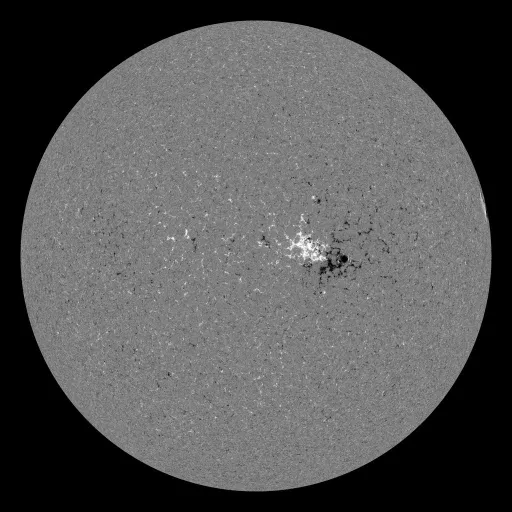 Solar Magnetic Fields