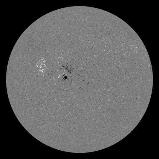 Solar Magnetic Fields