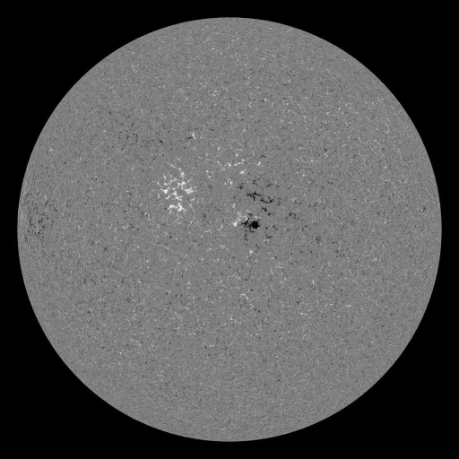 Solar Magnetic Fields