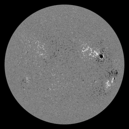 Solar Magnetic Fields