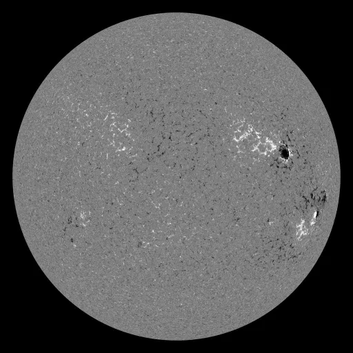 Solar Magnetic Fields
