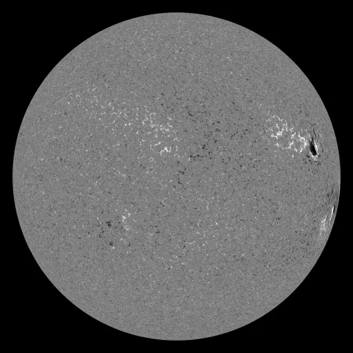 Solar Magnetic Fields