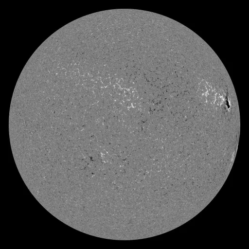 Solar Magnetic Fields