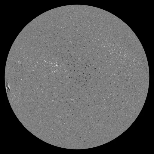 Solar Magnetic Fields