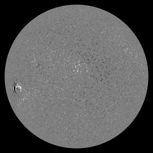 Solar Magnetic Fields
