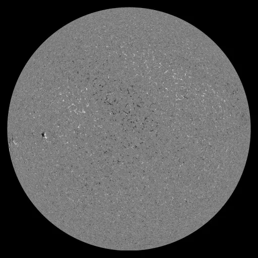 Solar Magnetic Fields