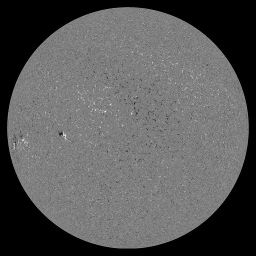 Solar Magnetic Fields