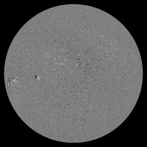 Solar Magnetic Fields