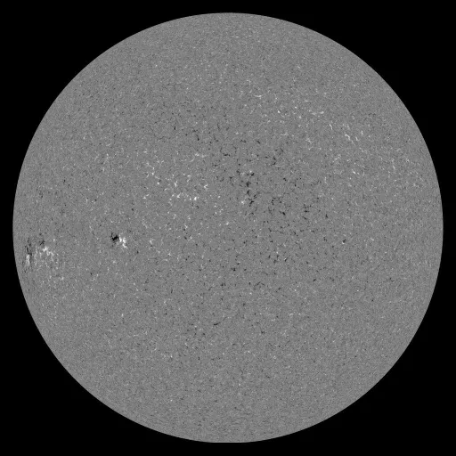 Solar Magnetic Fields