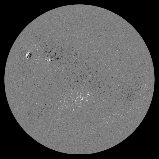 Solar Magnetic Fields