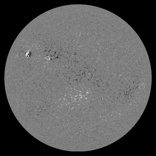 Solar Magnetic Fields