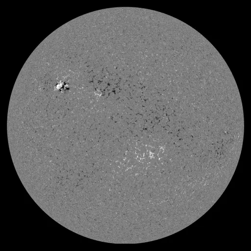 Solar Magnetic Fields