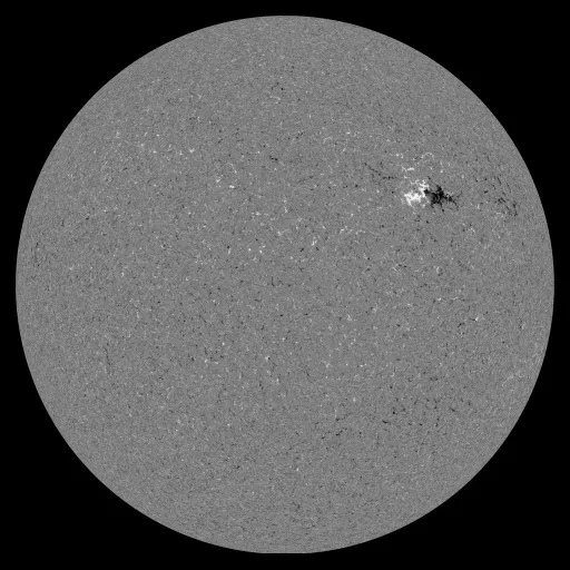 Solar Magnetic Fields