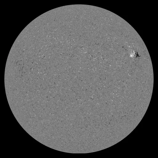 Solar Magnetic Fields